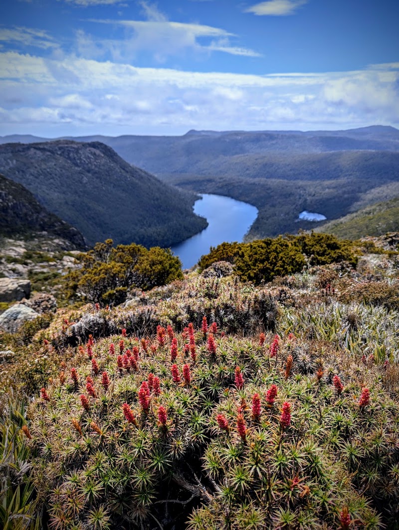 Mount Field National Park - Mount Field National Park, 66 Lake Dobson Rd, National Park TAS 7140, Australia