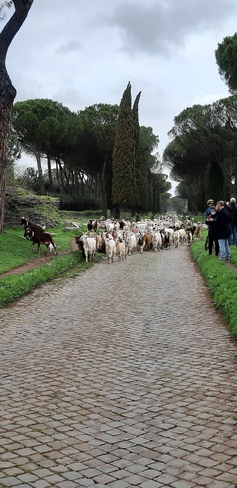 Via Appia Antica - Via Appia Antica, Città metropolitana di Roma Capitale, Italy