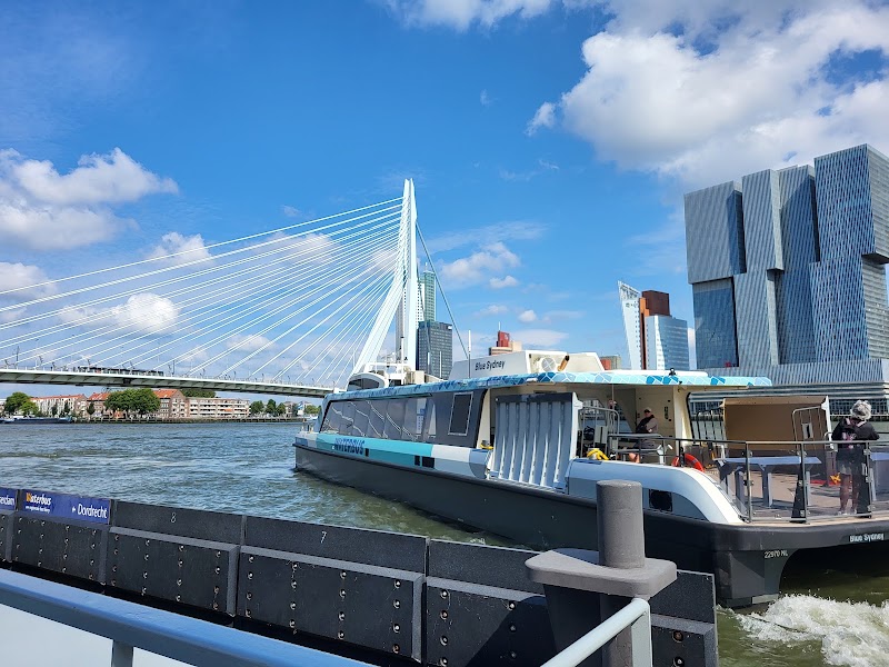 Waterbus - Waterbus Erasmusbrug - Stormpolder, 3016 DK Rotterdam, Netherlands
