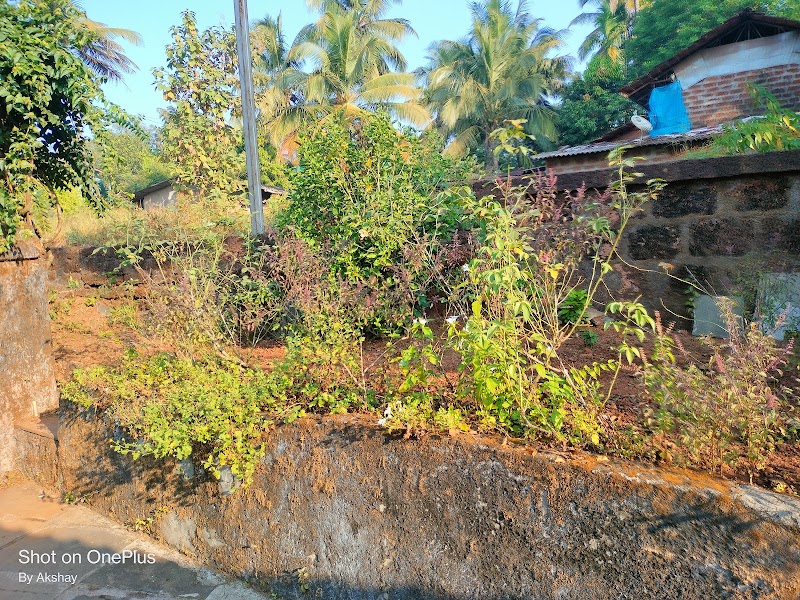 Dapoli - Dapoli Dapoli, Maharashtra 415712, India