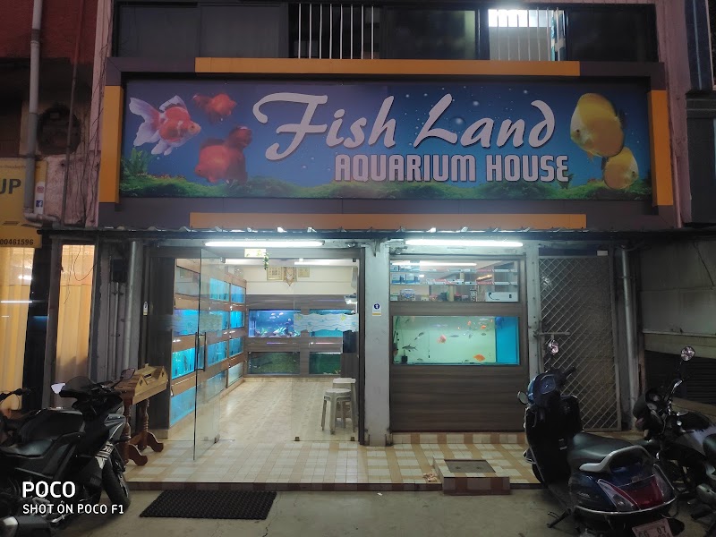 Fish Land