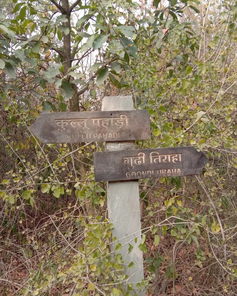 Aravali Biodiversity Park - Aravali Biodiversity Park F4J6+PJ4, Acharya Shree Tulsi Marg, DLF Phase 3, Sector 24, Gurugram, Haryana 122002, India