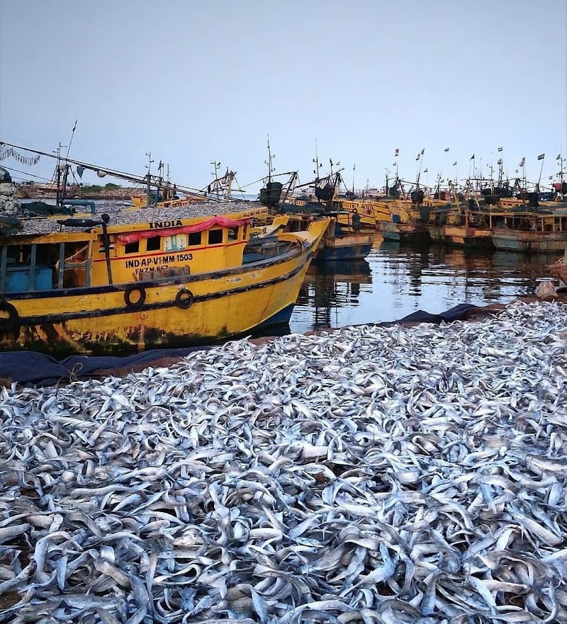 Vizag Fishing Harbour