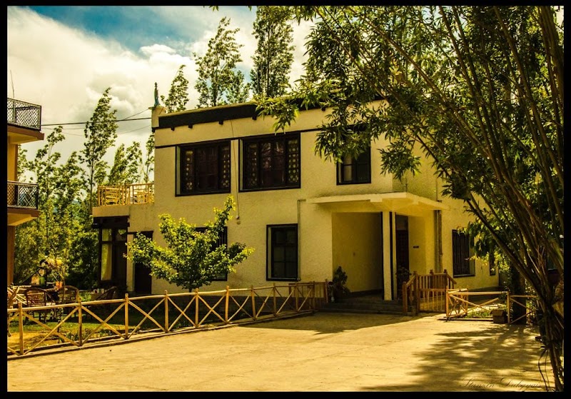 Mandarava Homestay - Mandarava Homestay, Shangara House, Tukcha Main Rd, Leh, 194101