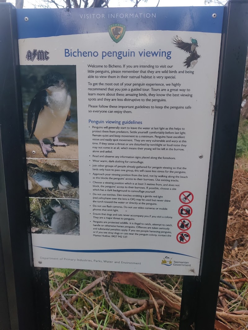 Bicheno Blowhole - Bicheno Blowhole, Douglas St, Bicheno TAS 7215, Australia