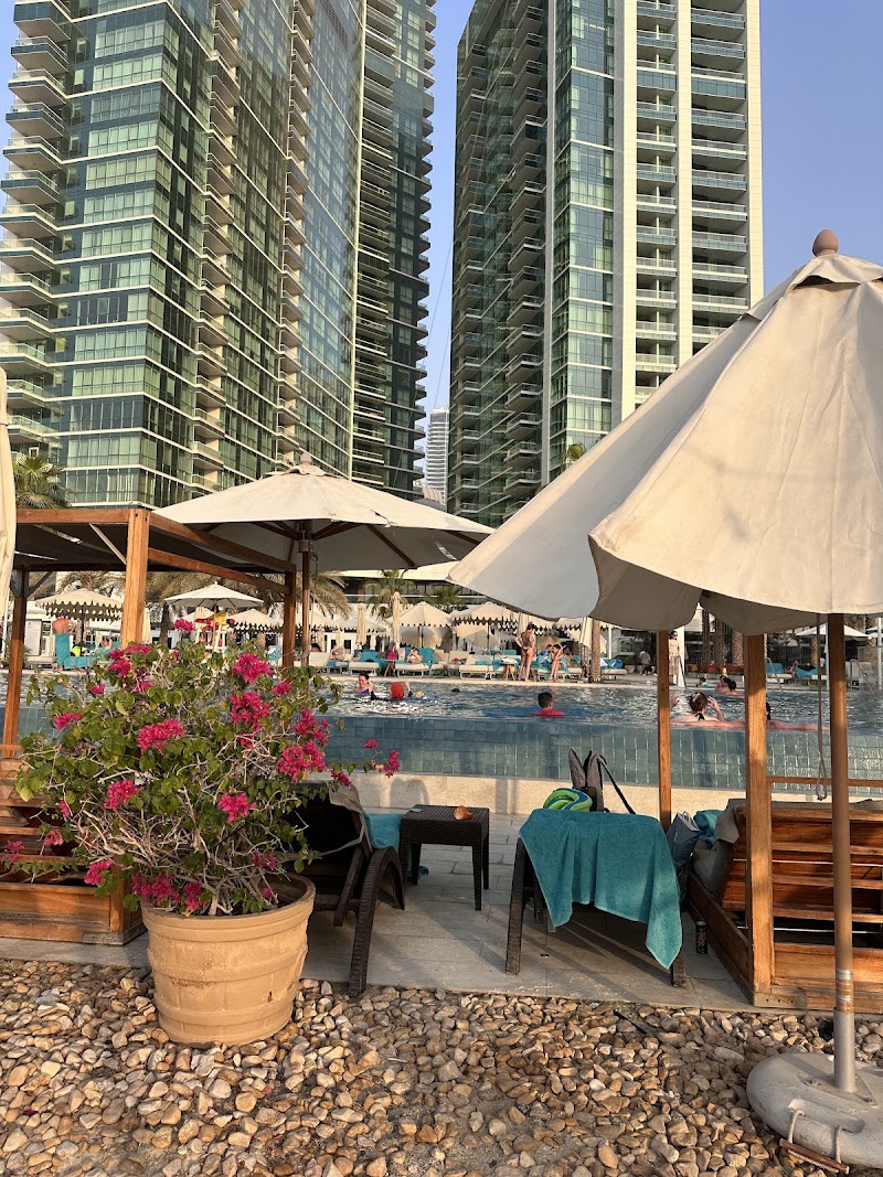 Gastro Kitchen - Gastro Kitchen 227 The Walk - Marsa Dubai - Dubai Marina - Dubai - United Arab Emirates