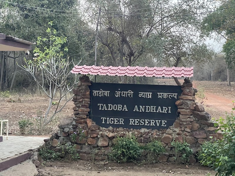 Zari Gate(Core Zone) - Zari Gate(Core Zone) 4G25+MV4, Zari, Maharashtra 441224, India