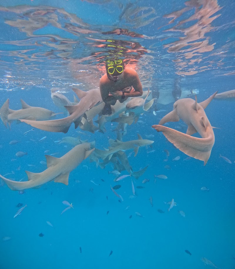 iCom Tours - iCom Tours Mirihi Magu, Maafushi 08090, Maldives