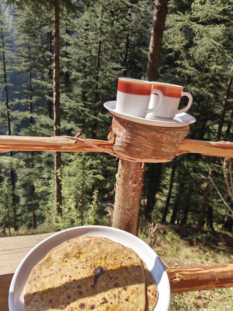 Jibhi Alpine heaven forest view - Jibhi Alpine heaven forest view p/o, Jibhi, Tandi, Himachal Pradesh 175123, India