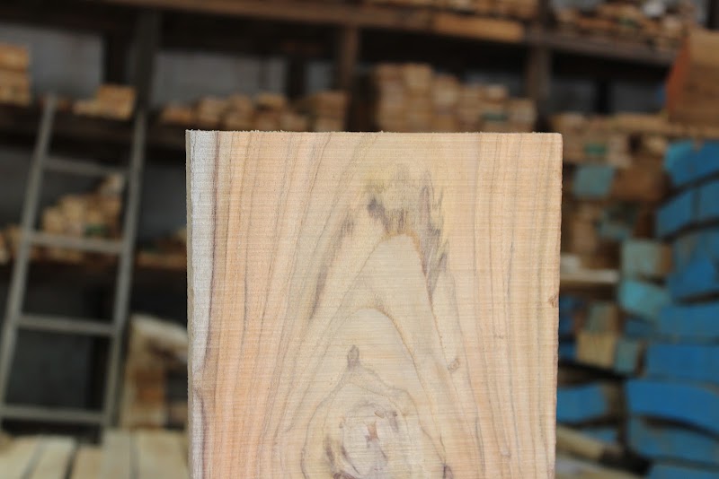 PK TIMBERS Experience Center - PK TIMBERS Experience Center Timber Market Squares, Devendra Nagar Main Rd, R.V.H. Colony, Jagriti Nagar, fafadih, Raipur, Chhattisgarh 492009, India