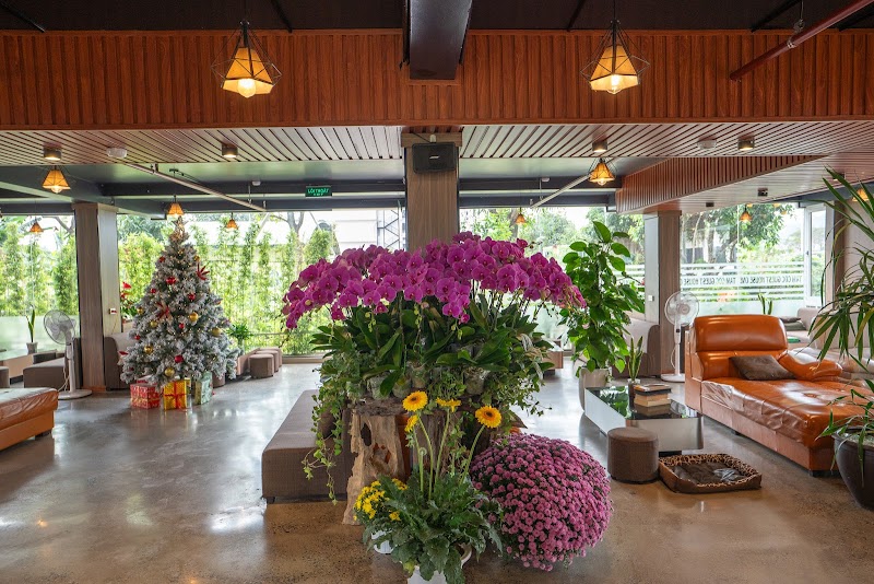 Tam Coc Guest House One & Hotel Ninh Binh - Tam Coc Guest House One & Hotel Ninh Binh, Nam Hoa Lu, Ninh Binh, Vietnam