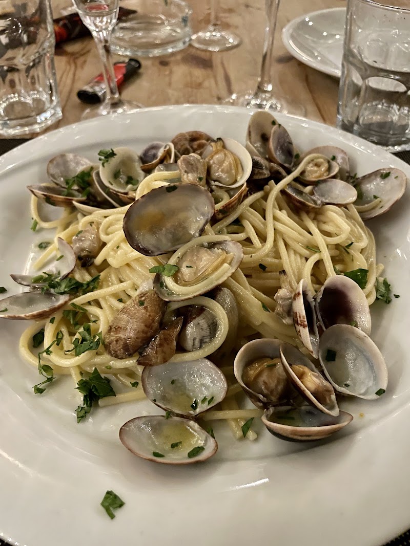 Oasi Fregene - Oasi Fregene, Lungomare di Levante, 22, 00054 Fregene RM, Italy