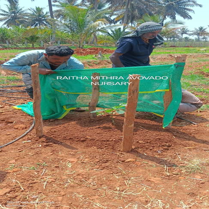 Roy Planters - Roy Planters, Kunthur, mole, uppara street, Kollegala, Kunthur, Karnataka 571442, India