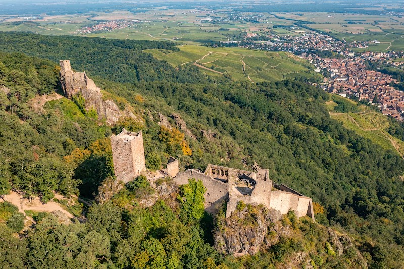 Château de Saint-Ulrich - Château de Saint-Ulrich, 68150 Ribeauvillé, France