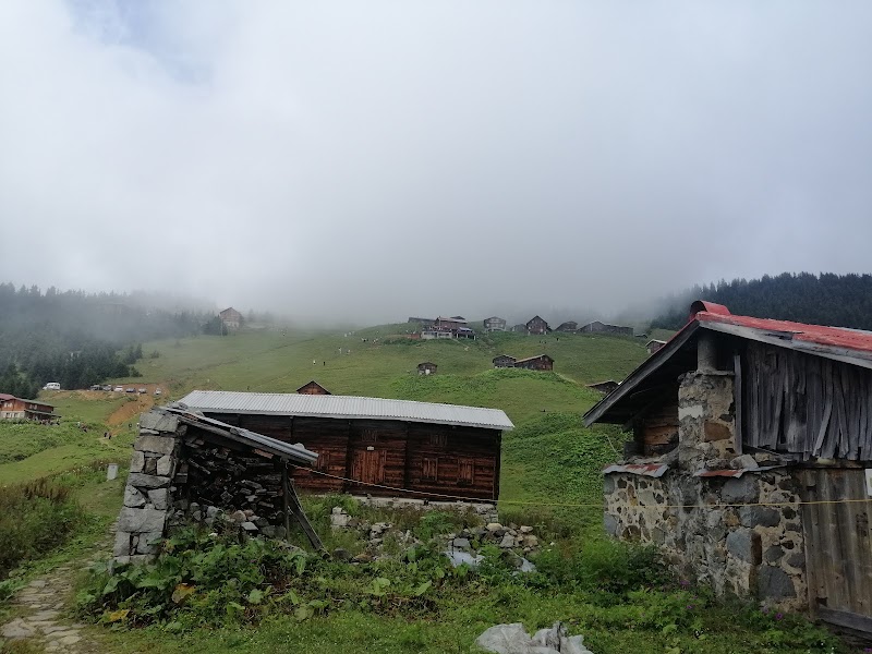 POKUT - POKUT Pokut Yaylası, 53780 Ortanköy/Çamlıhemşin/Rize, Türkiye