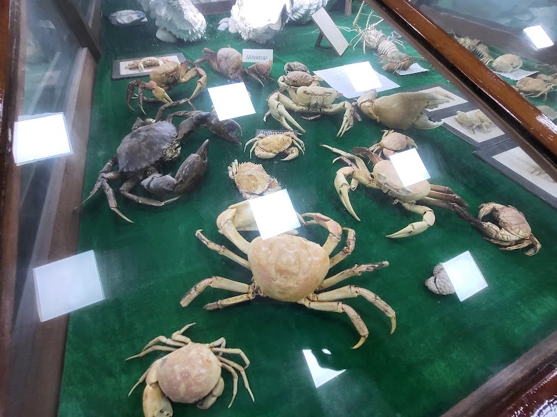 Marine Aquarium and Museum - Marine Aquarium and Museum, HJGR+H4J, Kavaratti, Lakshadweep 682555, India