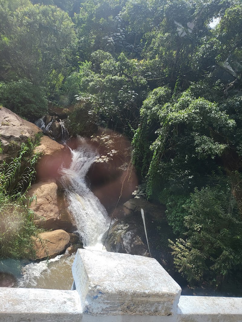 Laws Falls
