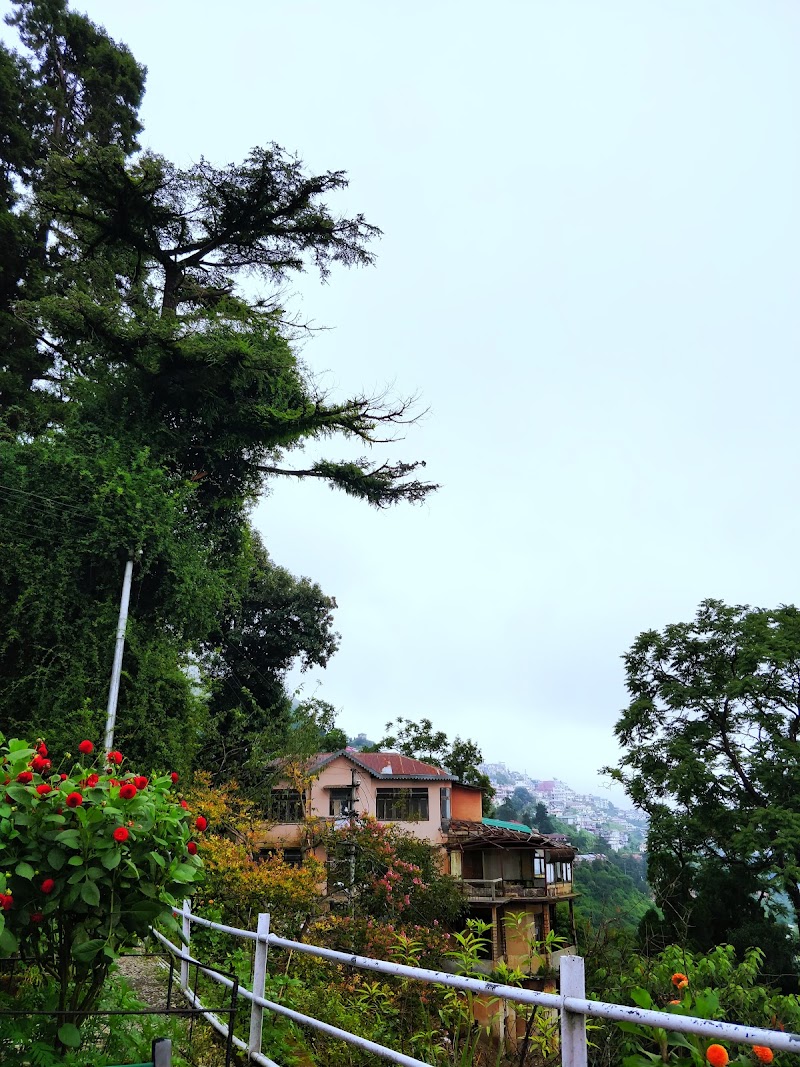 Hotel Padmini Nivas - Hotel Padmini Nivas Plot No.10, Mall Rd, opp. Tibetan Market, The Mall Road, Mussoorie, Uttarakhand 248179, India