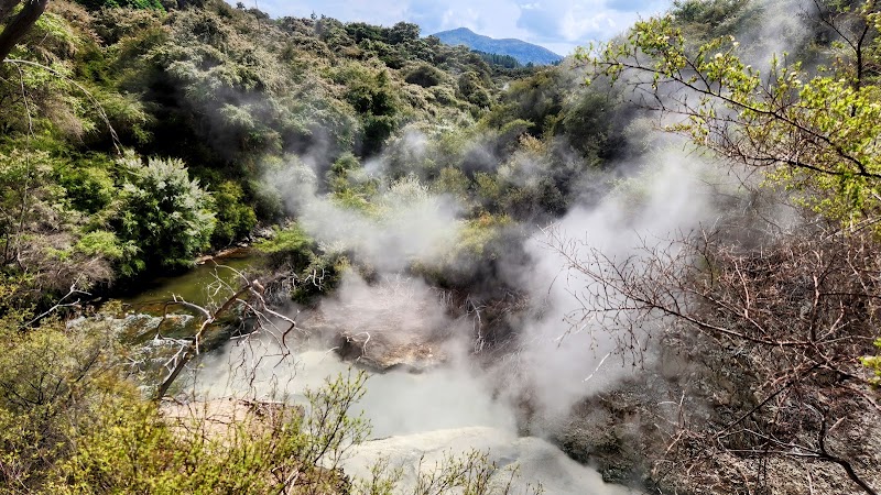Lady Knox Geyser - Lady Knox Geyser 201 Waiotapu Loop Rd, Rotorua, Waiotapu 3073, New Zealand