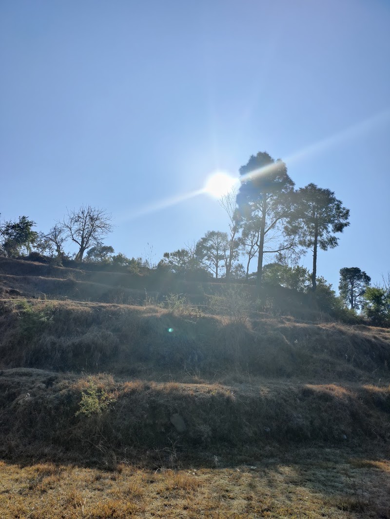 Deepali Astro - Deepali Astro, T2/Tower 1, 404, Pine Oak Paradise, Shyamkhet, Bhowali, Sukha, Uttarakhand 263132, India
