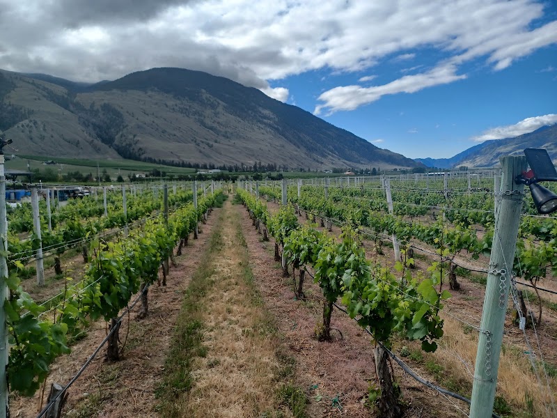 Crowsnest Vineyards - Crowsnest Vineyards 2035 Surprise Rd, Cawston, BC V0X 1C2, Canada