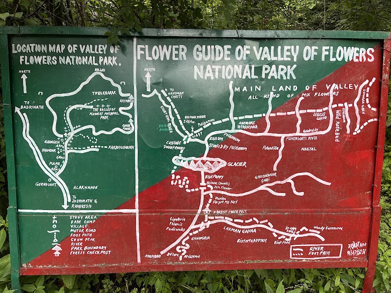 Valley of Flowers National Park - Valley of Flowers National Park Uttarakhand 246443, India