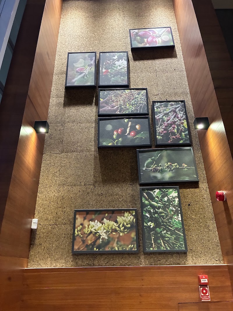 Starbucks - Starbucks, Av. Paulista, 500 - Bela Vista, São Paulo - SP, 01310-000, Brazil