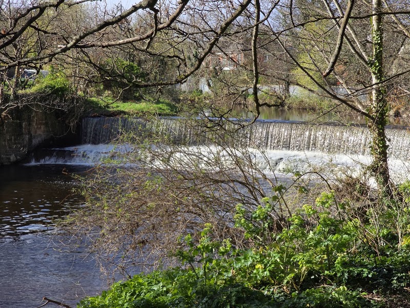 Dartry Park - Dartry Park 54 14 Orwell Gardens, Rathmines Great, Dublin, D14 PT93, Ireland