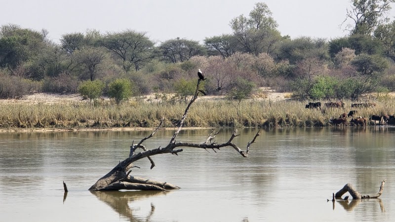 Bwabwata-National Park - Bwabwata-National Park, DIvundu, Namibia
