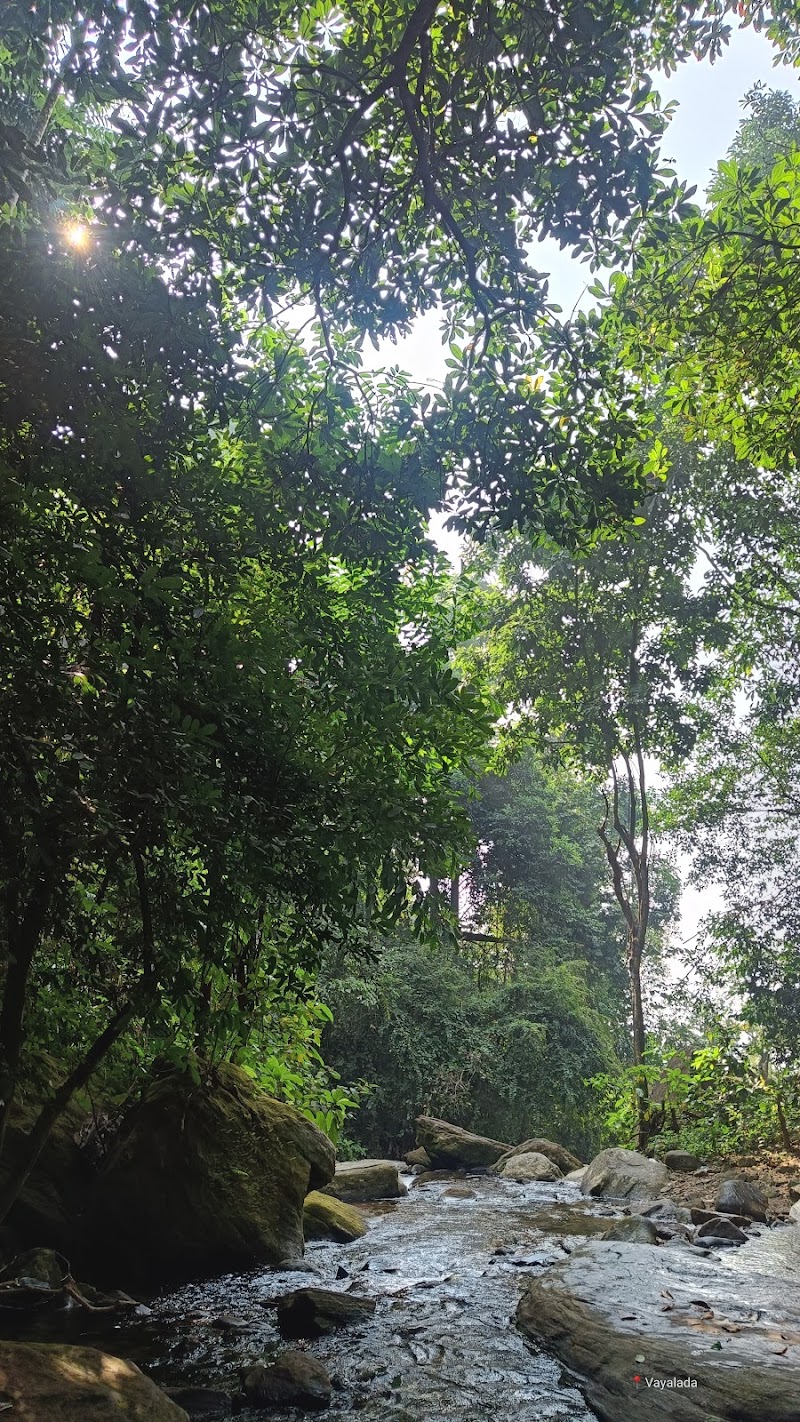 Vayalada View Point - Vayalada View Point, Mullanpara Rd, vayalada, Balussery, Kerala 673574, India