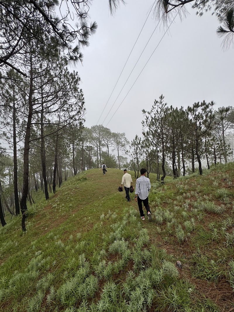Villa Auriga (3Bedroom~villa) - Villa Auriga (3Bedroom~villa), Vill. Gulhadi, Road Kasauli, Dharampur, Kanda, Himachal Pradesh 173209, India