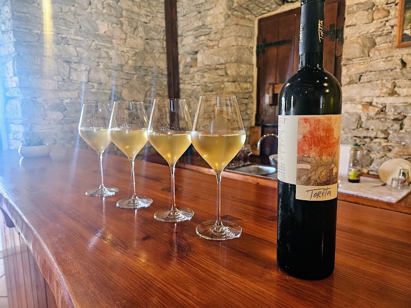Toreta Winery - Toreta Winery, D118 82, 20272, Smokvica, Croatia