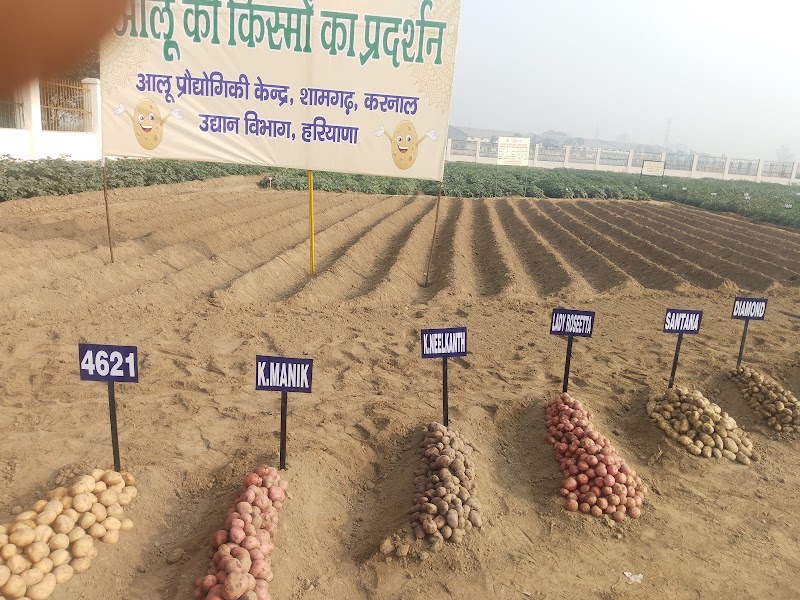 Potato Technology Centre - Potato Technology Centre Ramba Road, Shamgarh, National Highway 1, Karnal, Haryana 132116, India