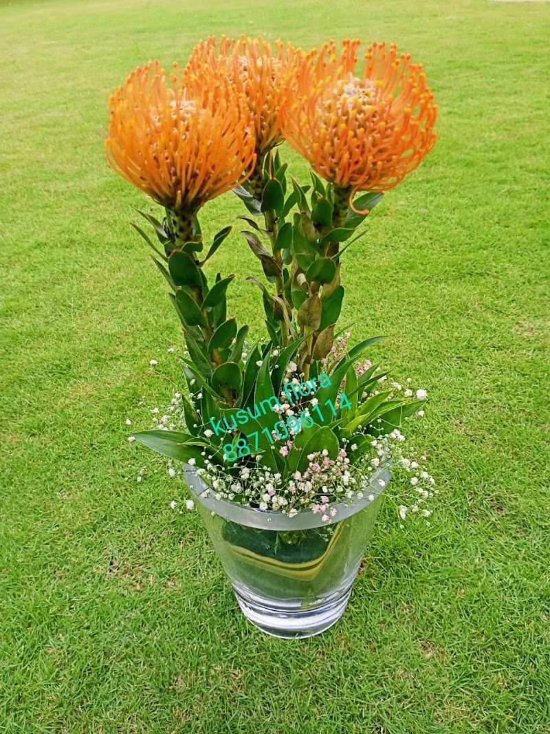 Kusum Flora - Kusum Flora, B-29, Netaji Subhash Complex, Jarhabhata, Masanganj, Chhattisgarh 495001, India