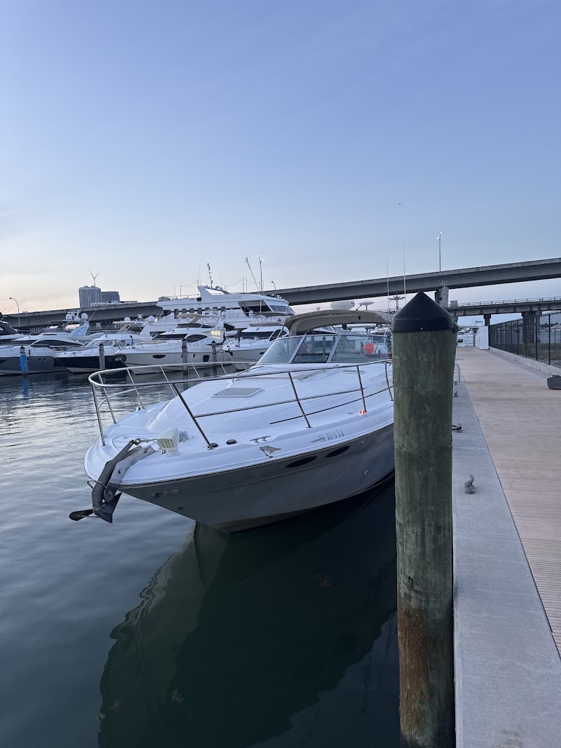 Dolphin Water Sport - Dolphin Water Sport, 401 Biscayne Blvd, Miami, FL 33132, USA