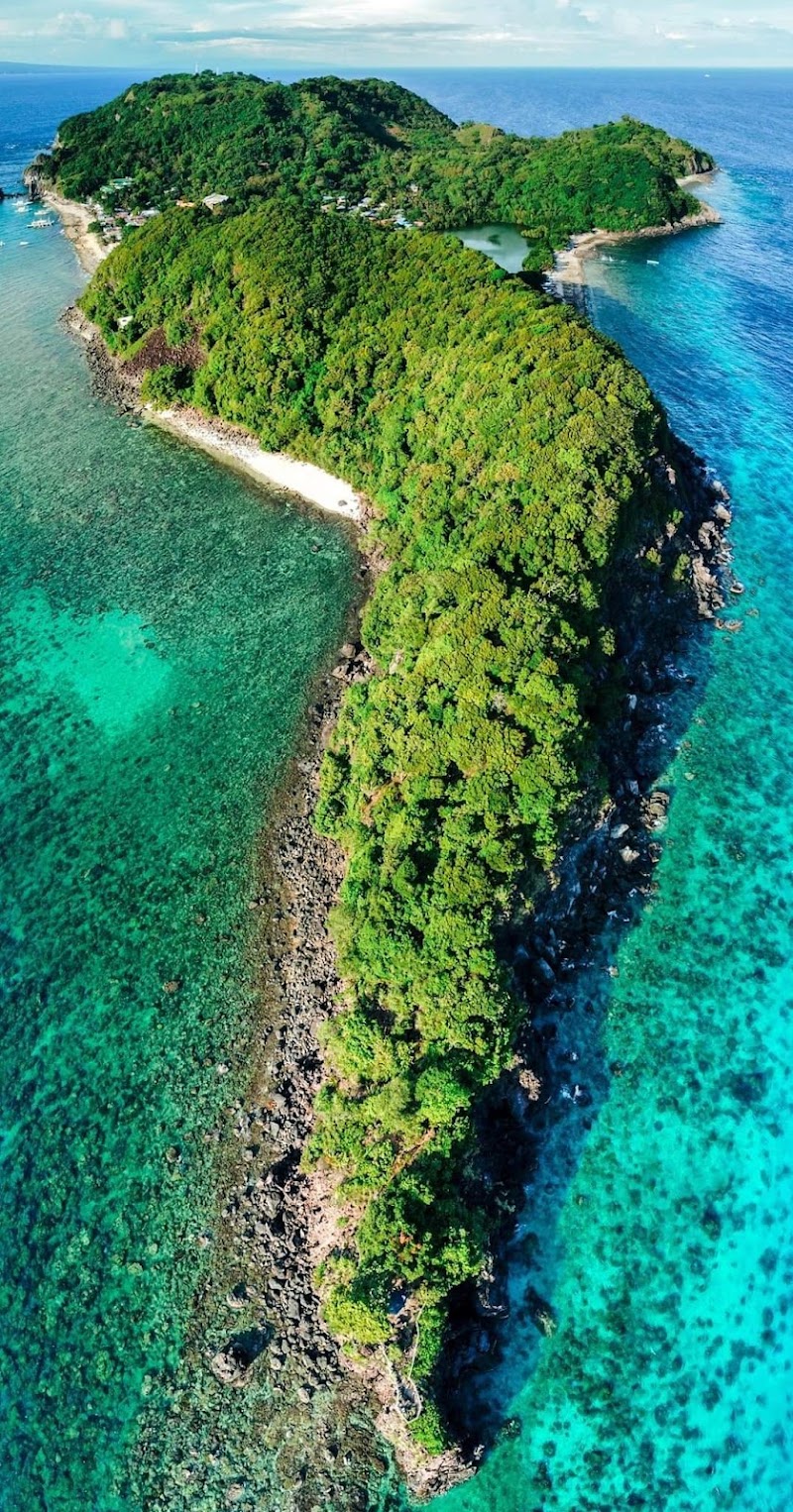 Apo Island Marine Sanctuary