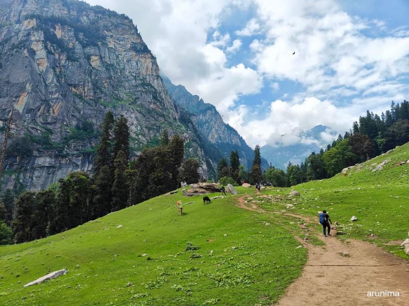 Chika camp site - Chika camp site 77M4+58, Bashisht, Himachal Pradesh 175103, India