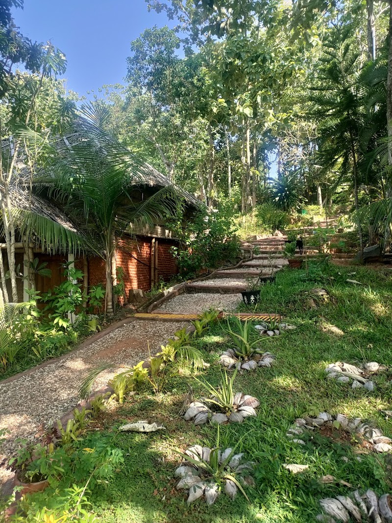 Vishram Village - Vishram Village Kappil HS Rd, Thottumugham, Edava, Varkala, Kerala 695311, India