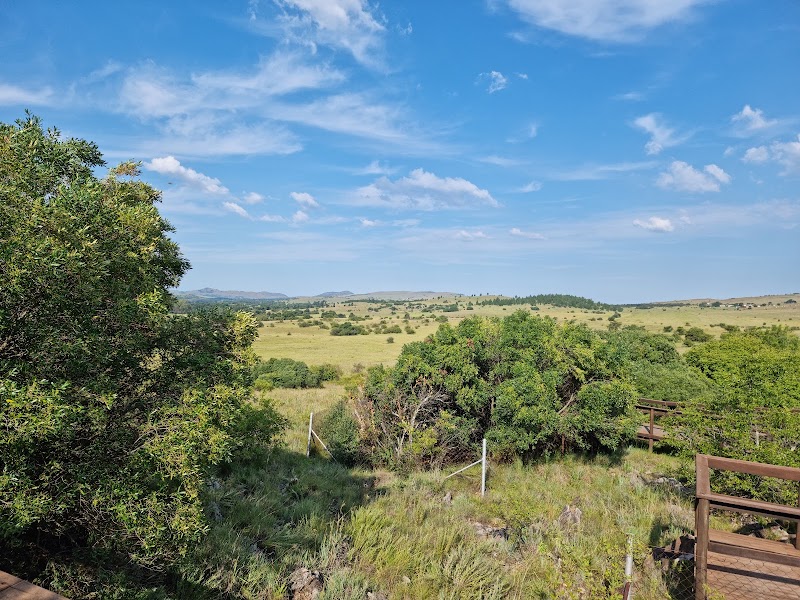 Sterkfontein Caves - Sterkfontein Caves, Kromdraai Rd, Johannesburg, South Africa