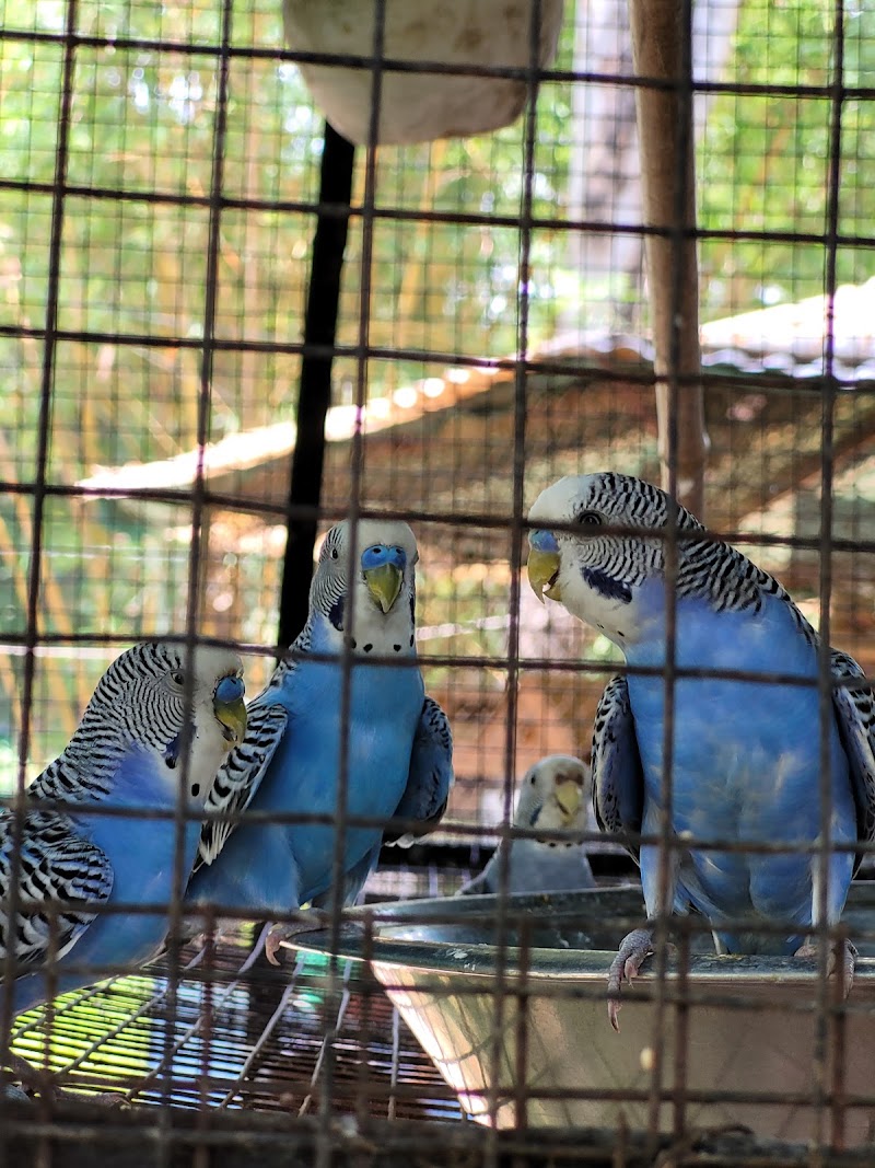 Nandan Van Zoo - Nandan Van Zoo 7GMV+8FV, Atari, Hatband, Chhattisgarh 492099, India