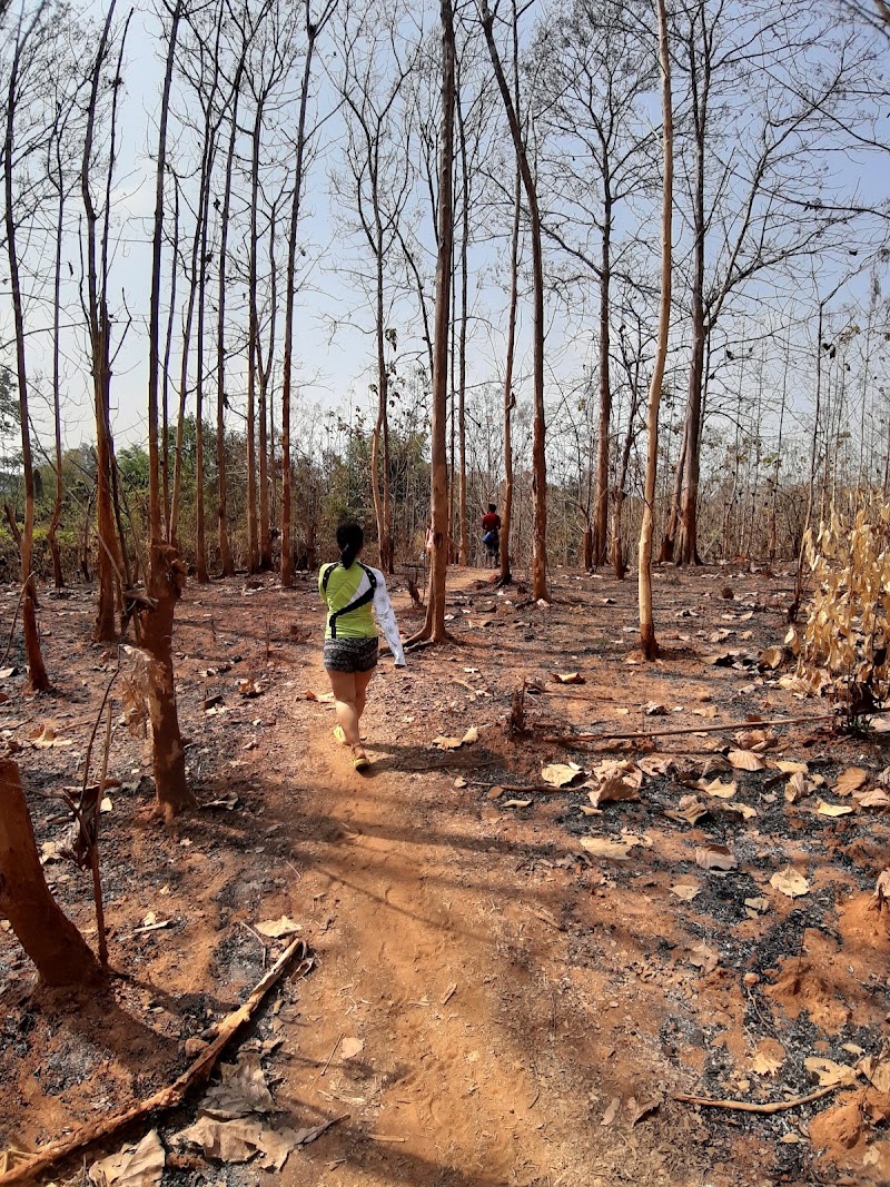 Si Phan Don - Si Phan Don, 2RWM+R37, Thaphao, Laos