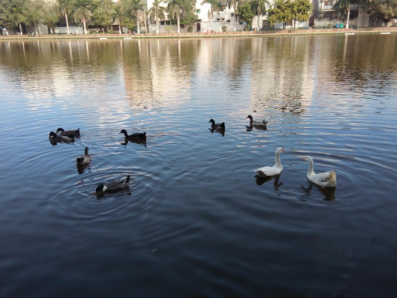 Naini Lake - Naini Lake, Block A 2, Model Town Phase I, Model Town, New Delhi, Delhi, 110033, India