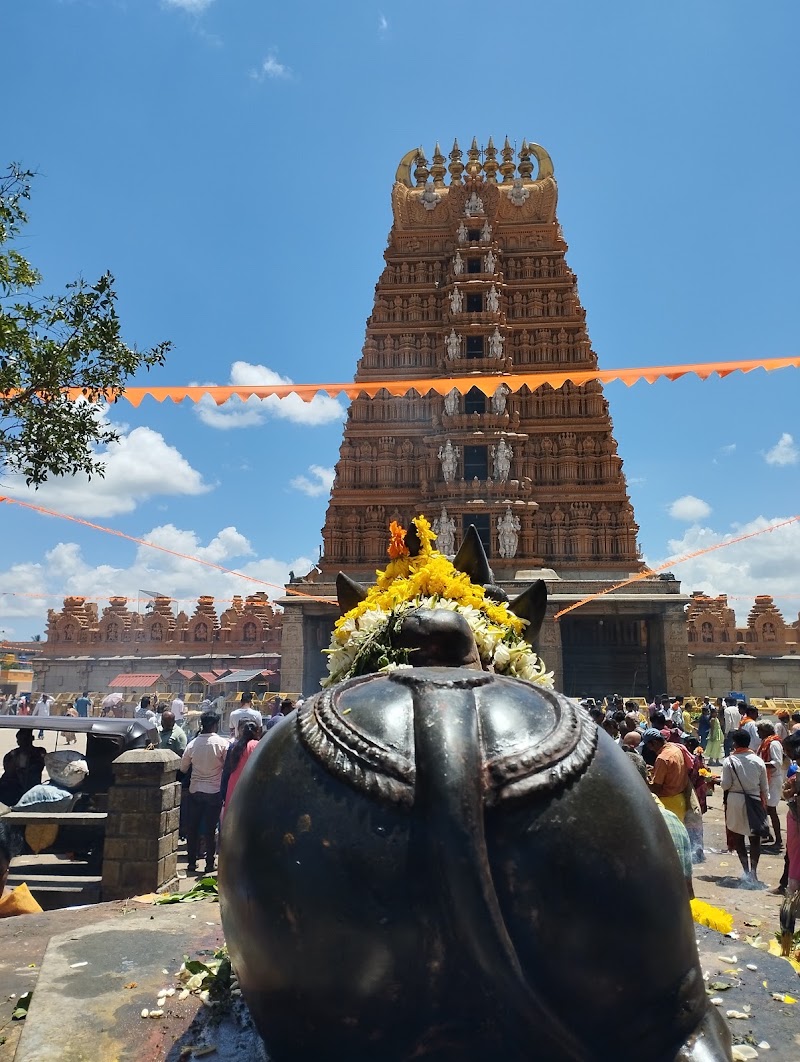 Nanjanagudu - Nanjanagudu, Karnataka, India