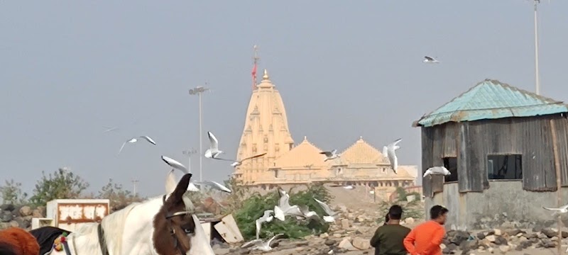 Somnath Temple - Somnath Temple 7R75+3C9 Madir, Prawaria Colony, Rameshwar Nagar, Bhakti Nagar, Rajkot, Gujarat 360002, India