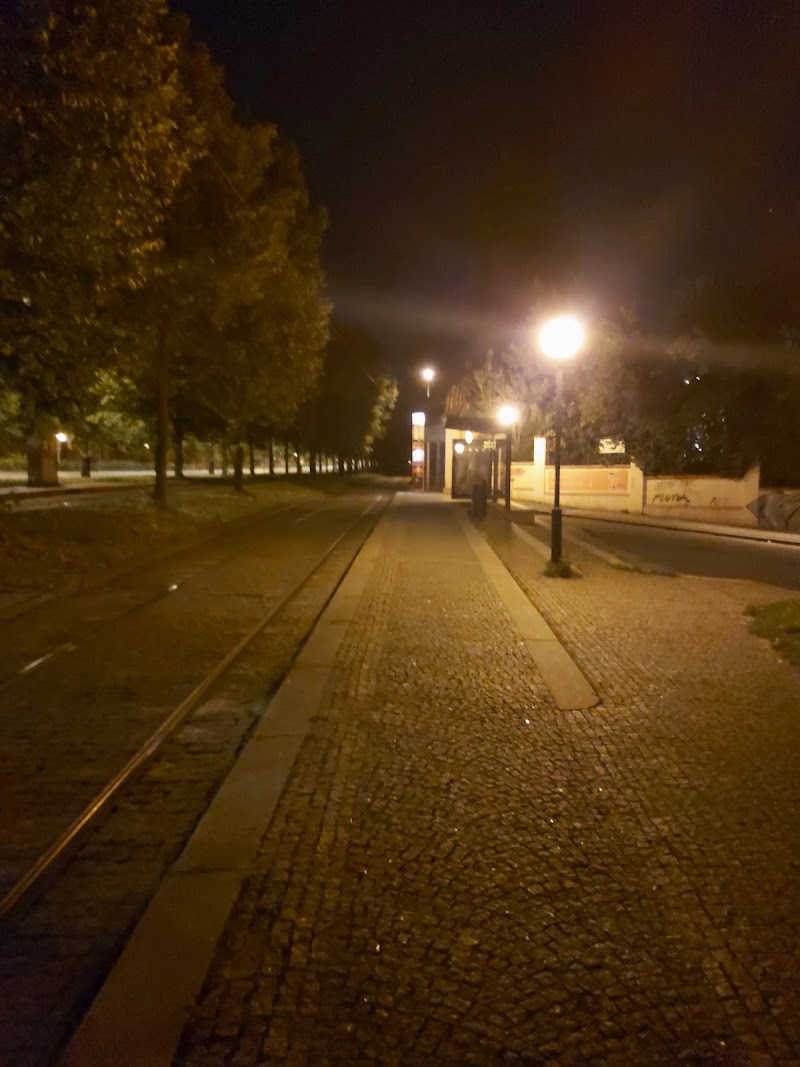 Královský letohrádek - Královský letohrádek, 160 00 Prague-Prague 6, Czechia