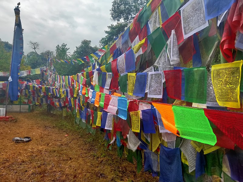 Phedi Picnic Spot - Phedi Picnic Spot, 7VRF+M3C, Dhampus 33700, Nepal