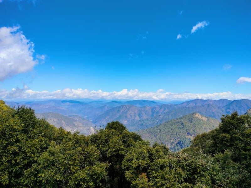 Dhanolti Eco Park Amber - Dhanolti Eco Park Amber C6FX+86C, Chamba - Mussoorie Rd, Dhanolti, Kempty Range, Uttarakhand 249180, India