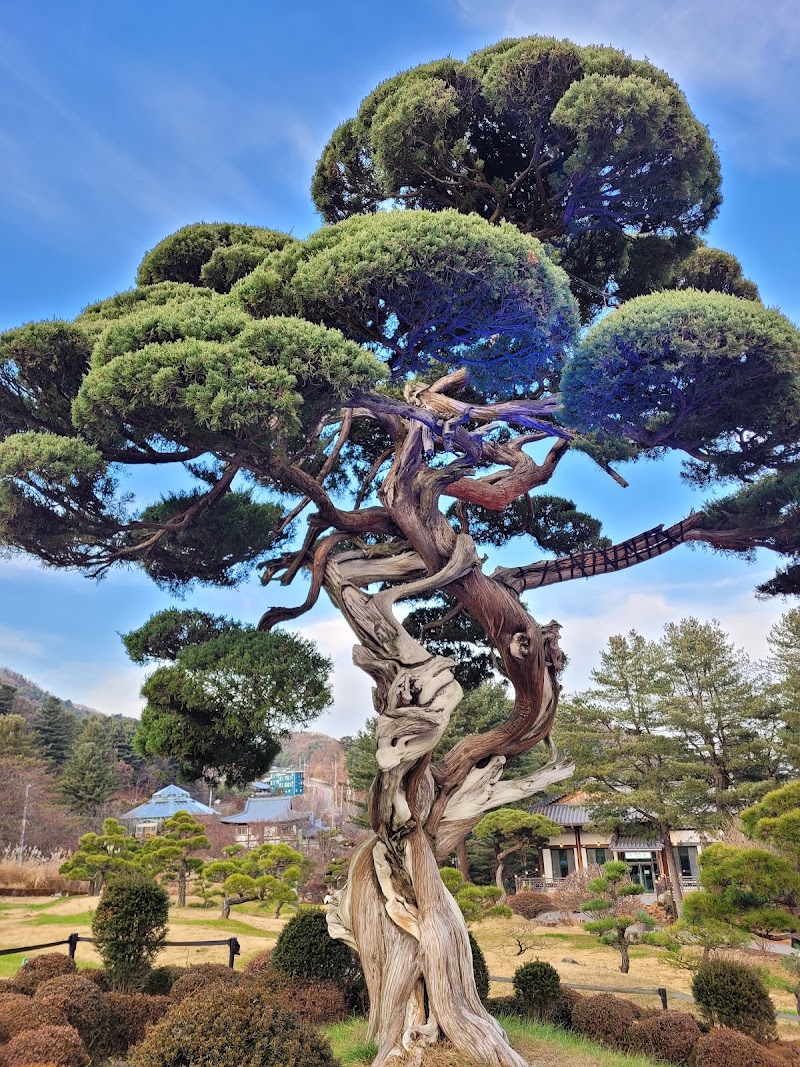 Garden of Morning Calm - Garden of Morning Calm, 432 Sumogwon-ro, Sang-myeon, Gapyeong-gun, Gyeonggi-do, South Korea