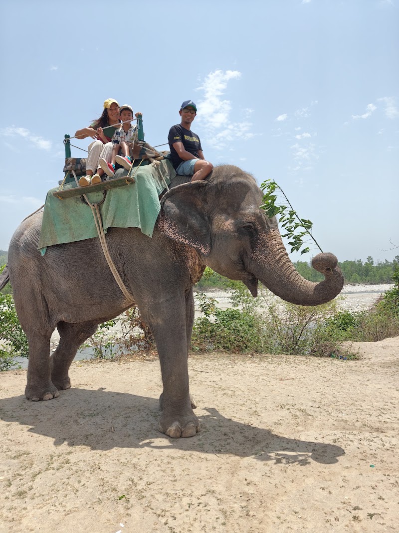 Jim Corbett National Park - Jim Corbett National Park Uttarakhand, India