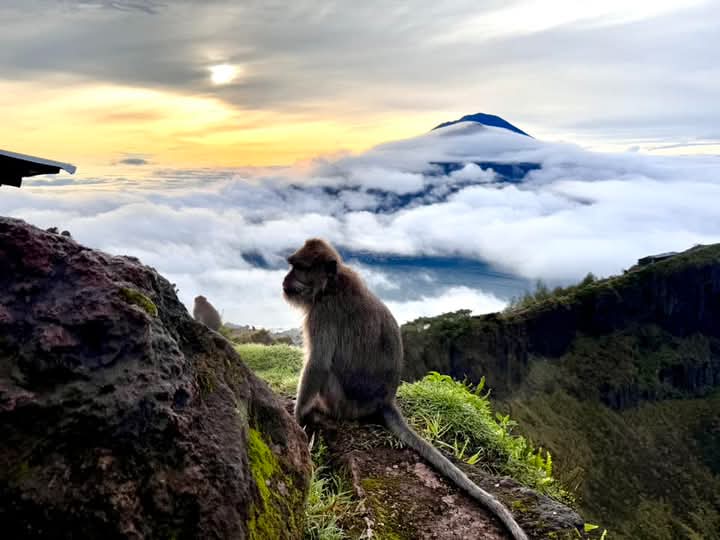 Sunrise mount Batur hike - Sunrise mount Batur hike Q93H+6Q7, South Batur, Kintamani, Bangli Regency, Bali 80652, Indonesia